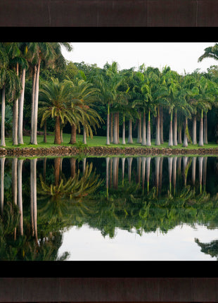 Royal Splendor Color