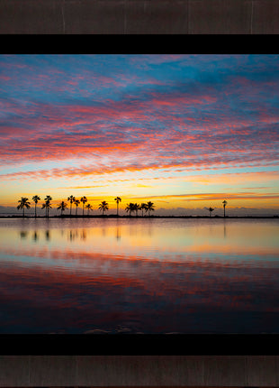 Painted Skies
