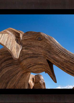 Elephants at The Beach