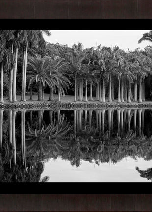 Royal Splendor