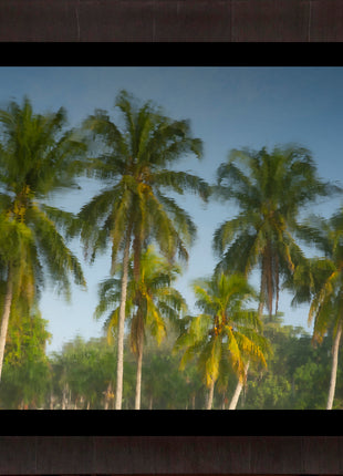 Tropic Flare