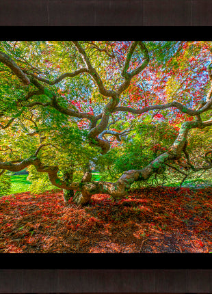 Essence of Fall
