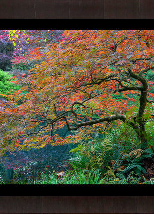 Garden Mosiac