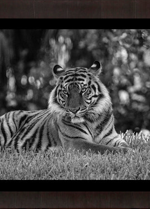 The Tiger