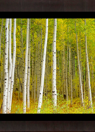 Aspen Highlands color