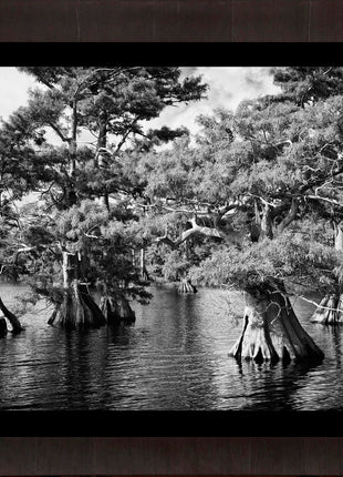 Blue Cypress Lake