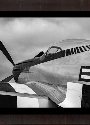 Enforcer Standard Black and White